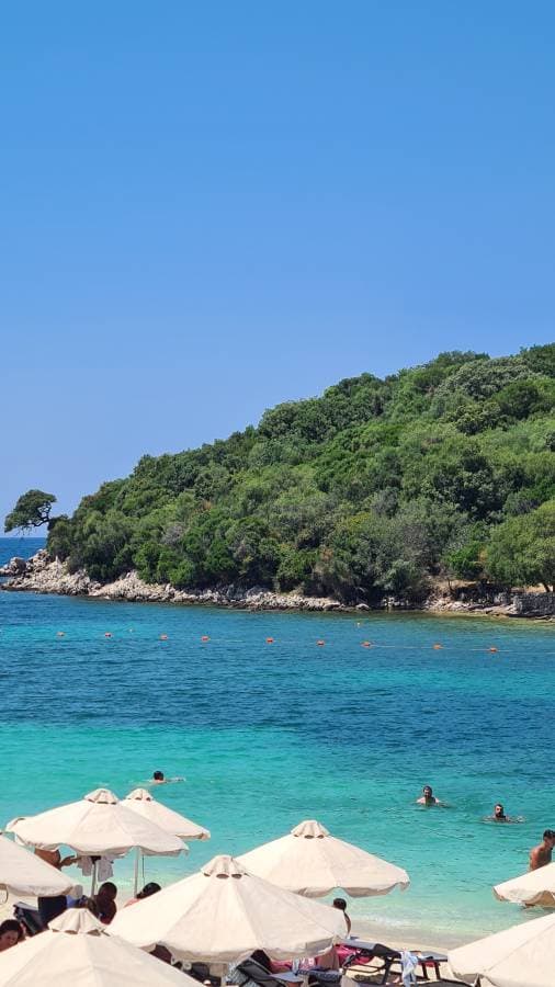 Foto 1 di Angela F. (25/06/24)