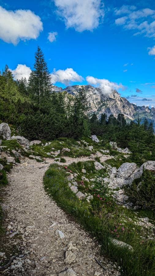 Photo 1 by Dean M. (7/26/24)