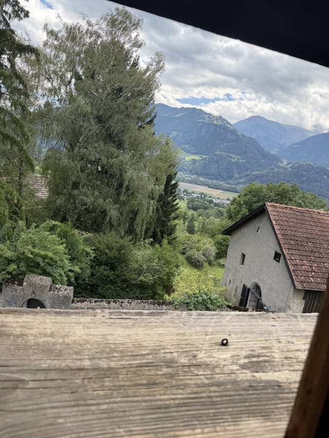 Photo 1 by Marin P. (7/31/26)