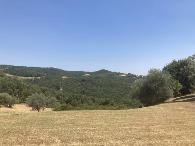 Photo 1 by Michael M. about hiring a Opel Vivaro in Pisa (28/07/22)