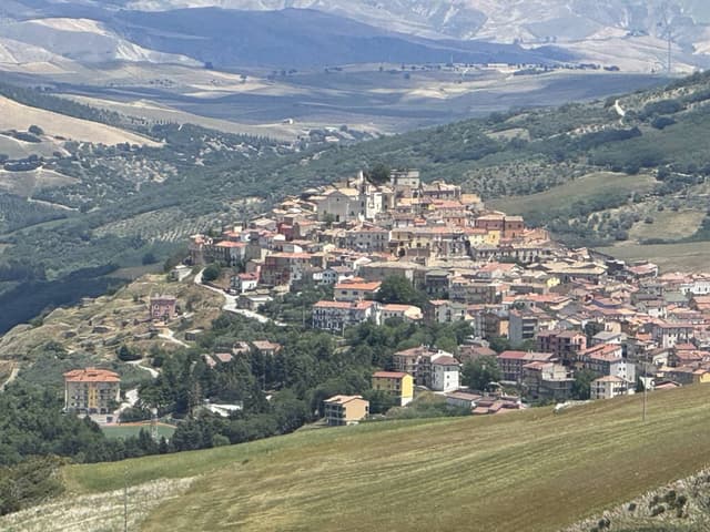 Photo 2 by Peter B. (5/23/24)