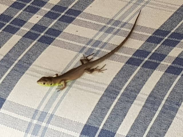 Photo 1 by Stephen M. about hiring a Volkswagen Up at Rome Fiumicino Airport (20/09/23)