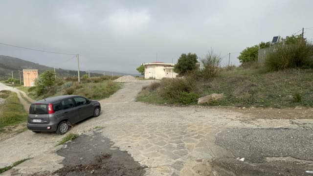 Photo 1 by Robert P. (4/2/24)