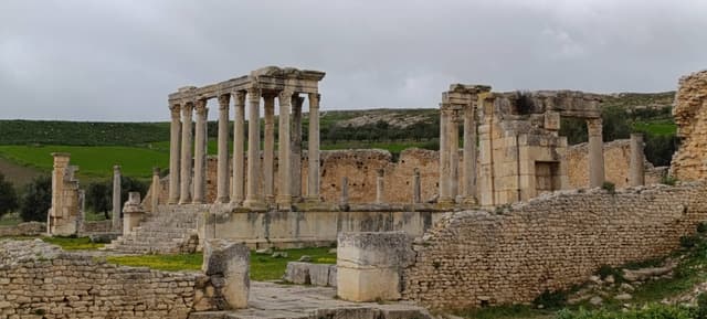 Photo 1 by Emmanuel B. (2/25/26)