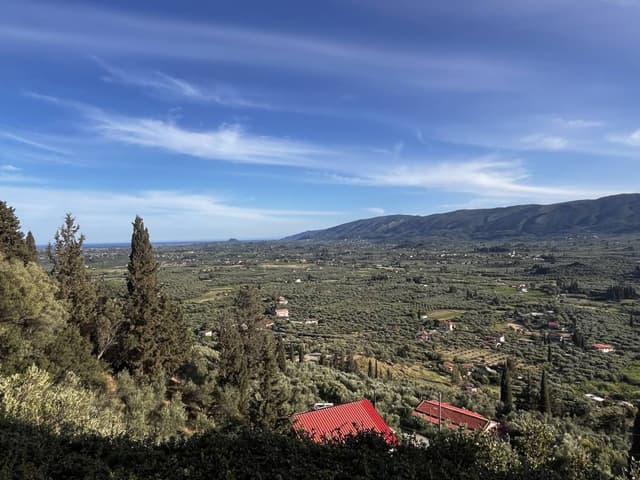 Photo 1 by Richard H. (5/13/24)