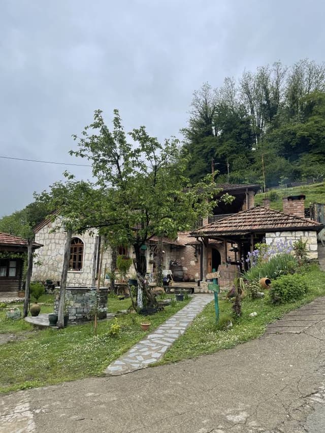 Photo 1 by Chian Boon L. (6/17/25)