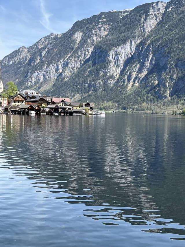 Photo 1 by Orly E. (4/15/24)