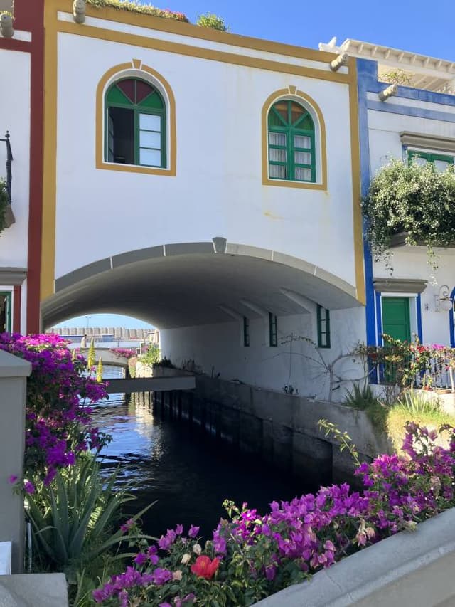 Photo 1 by Sylvie S. about renting a Seat Ibiza in Gran Canaria (1/19/25)