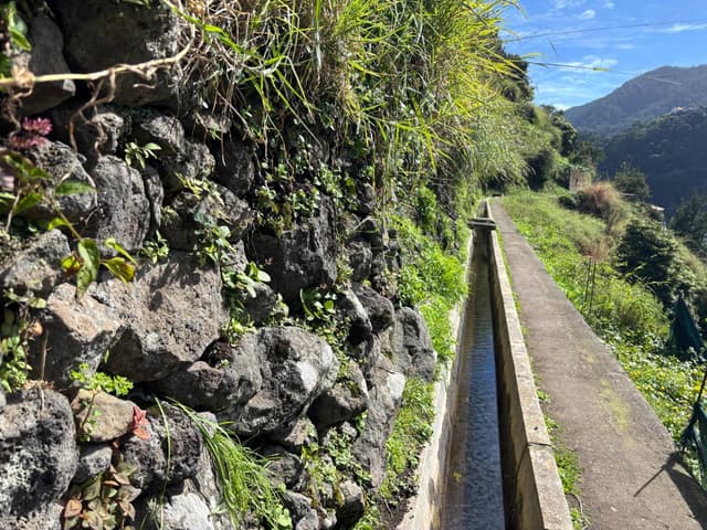 Photo 2 by Monica N. (2/24/25)