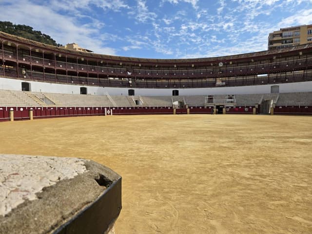 Photo 1 by Catherine S. (3/29/26)