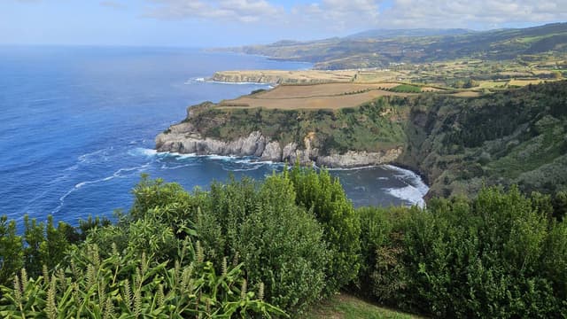 Photo 1 by Isabella V. (10/30/24)