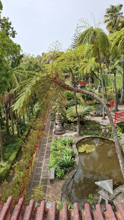 Photo 1 by Petri K. (4/3/25)