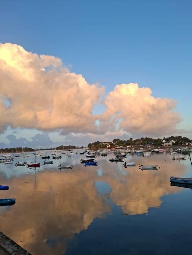 Photo by Lisa A. (8/30/25)