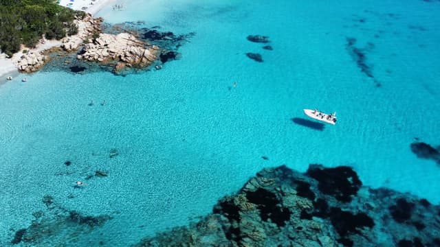 Photo 1 by Anna K. (5/30/25)