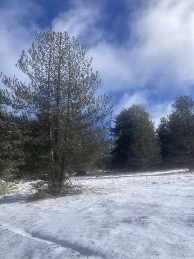 Photo by Ilia N. (1/23/24)