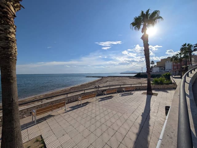 Photo 1 by Palavinnage M. (10/28/25)