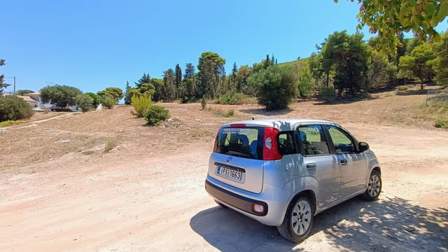 Photo by Peter D. (8/14/24)