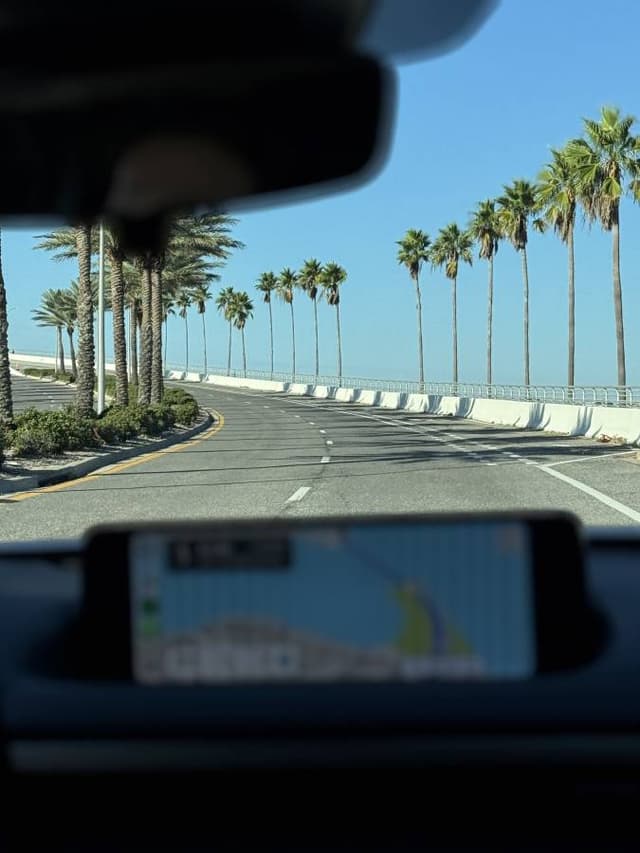 Photo 1 by Lazar K. (10/25/25)