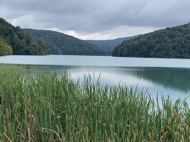 Foto 1 van Tom V. (28-9-23)