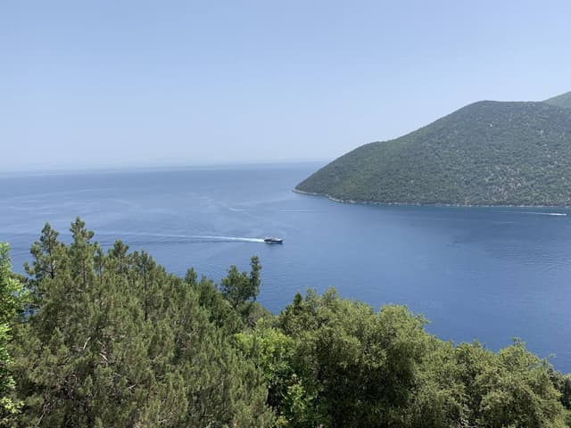 Bilde 1 av Mariann L. (7.8.23)