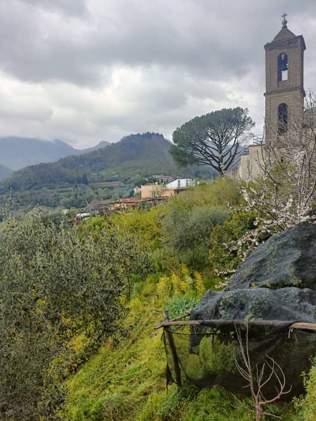 Photo 1 by Rolandas S. (4/6/26)