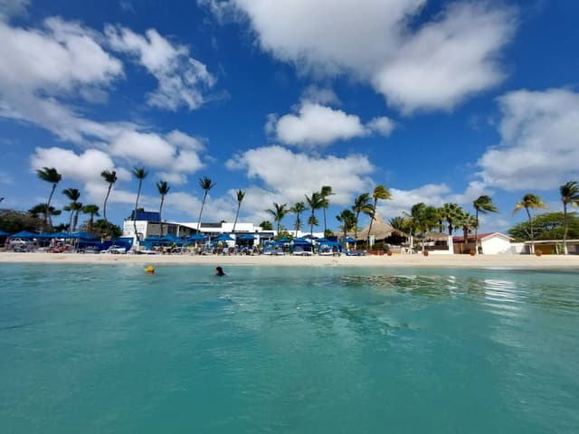 Photo by Irma Monica L. (4/25/25)