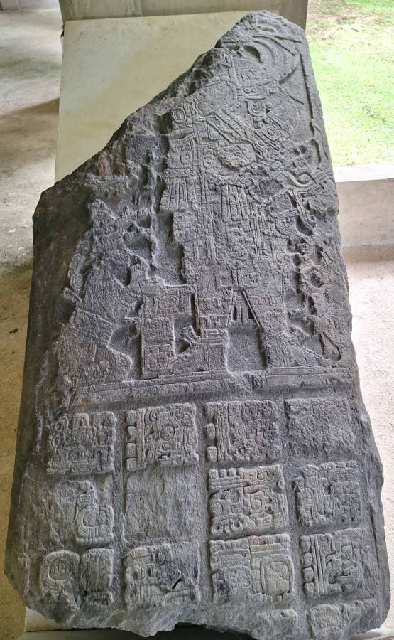 Photo 1 by Daniel V. (9/24/24)