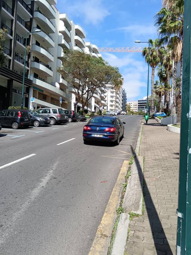 Photo 3 by Monica N. (2/24/25)