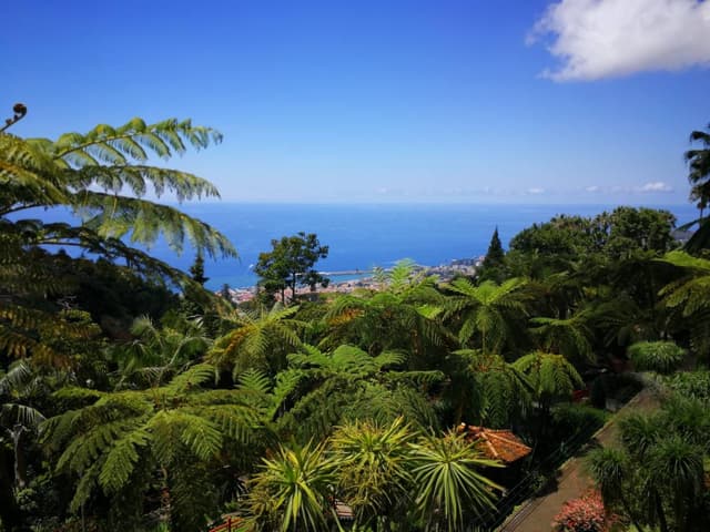 Photo 1 by Ravinder P. about hiring a Opel Corsa in Funchal (27/07/23)