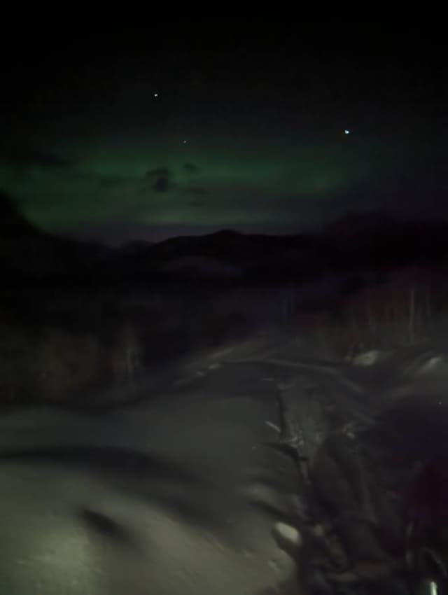 Photo 1 by Alexandru V. (2/14/24)