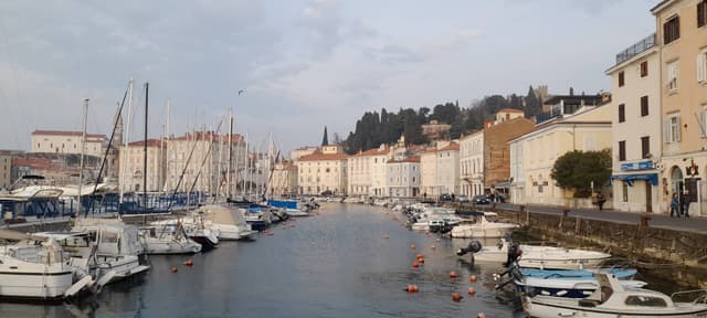 Photo 1 by Kevin B. (3/13/26)