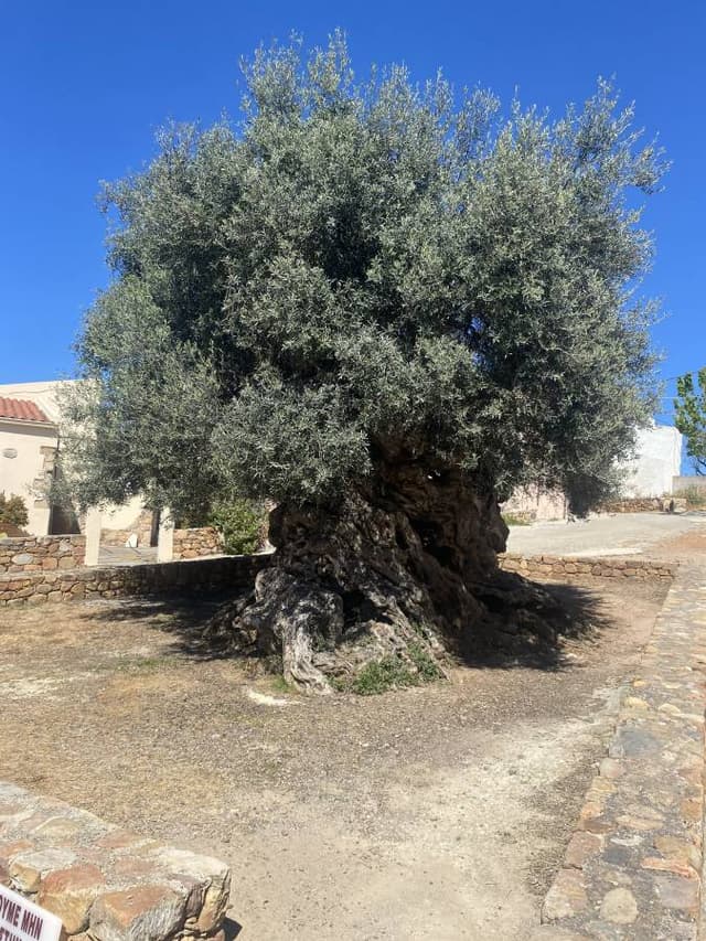 Photo 2 by Jesse V. about renting a Fiat 500 in Chania (4/7/24)