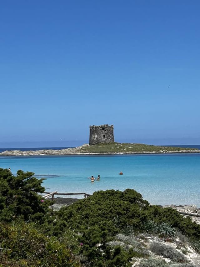 Foto 1 di Carlo C. sul noleggio di una Fiat 500 ad Alghero (13/05/25)