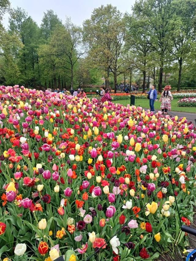 Photo by Mohammed A. (4/26/25)