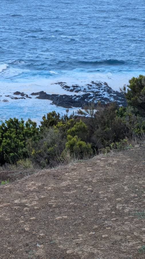 Photo 1 by Fernando B. (10/17/24)