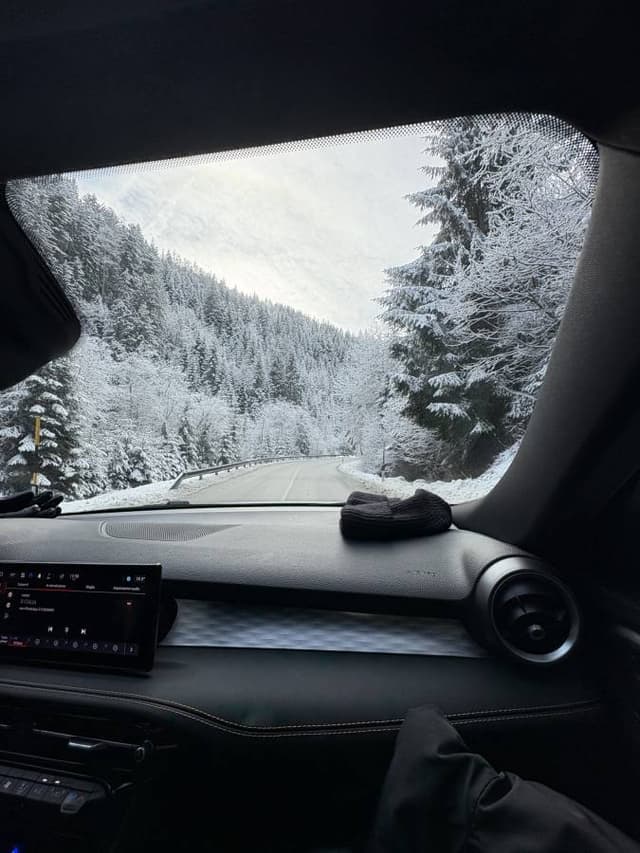 Photo 1 by Mitchell B. (1/30/25)