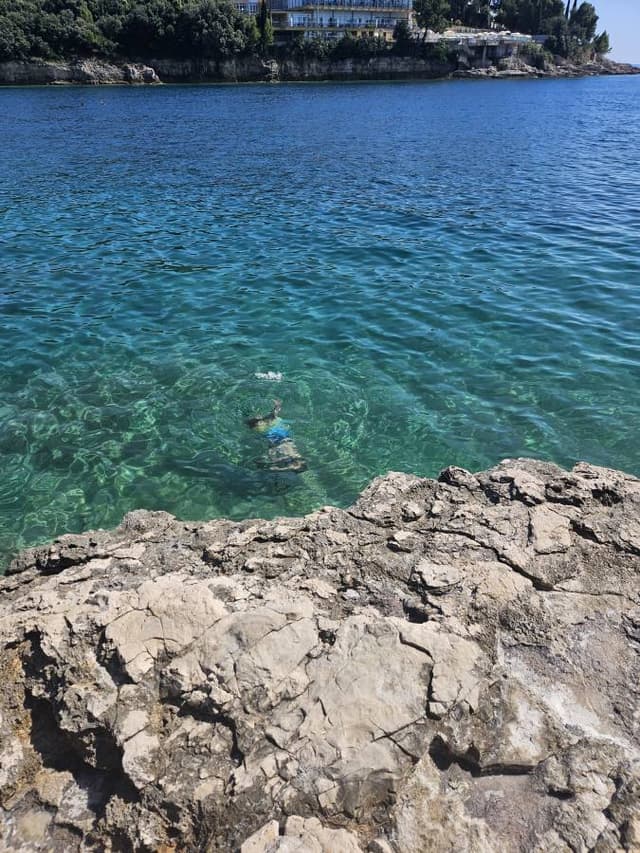 Photo 1 by Leonid O. (7/31/24)