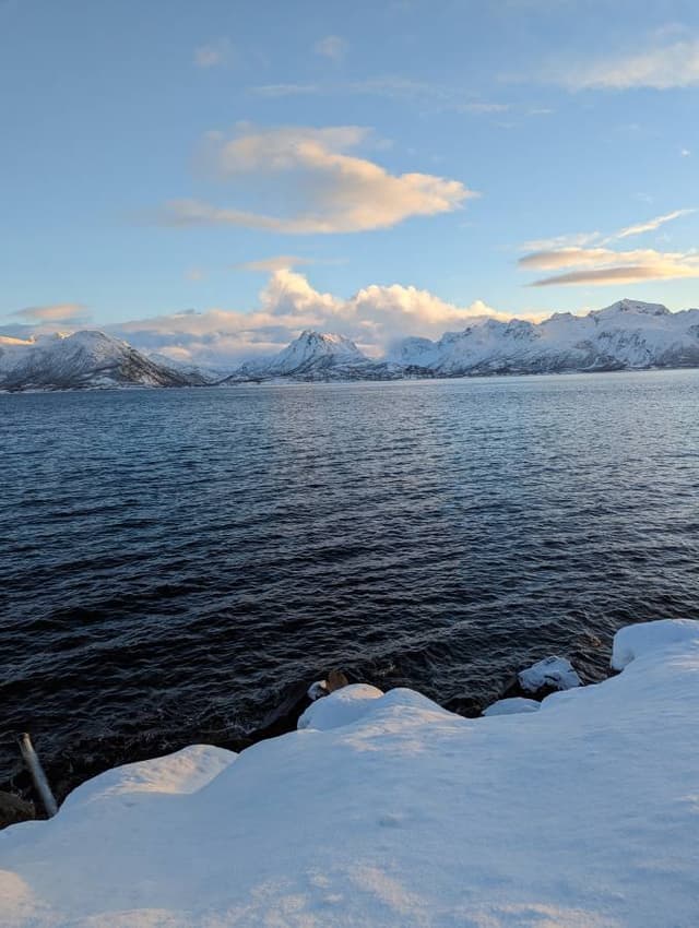 Photo 2 by Alexandru V. (2/14/24)