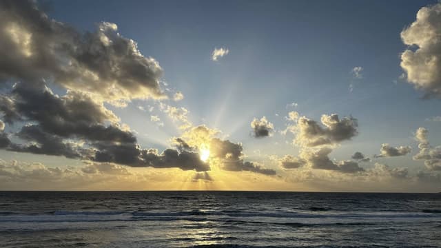 Photo 1 by Tom J. (8/9/23)