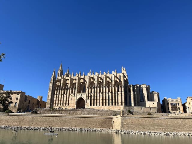 Photo 1 by Andrea M. (4/28/24)