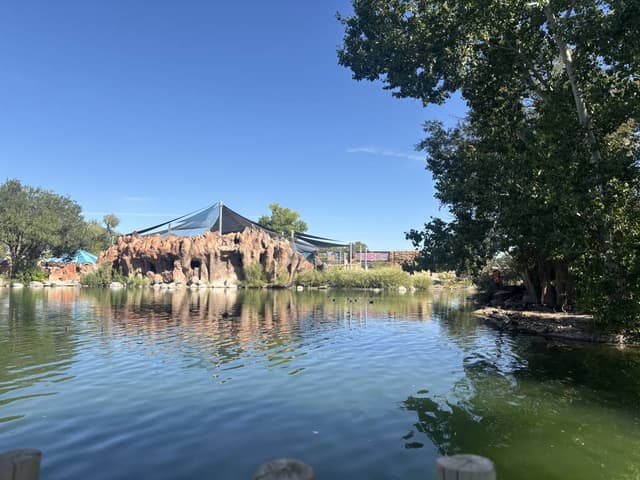 Photo 1 by Stephanie D. (9/4/25)