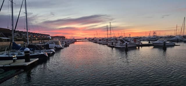 Photo 1 by Jordan L. (1/3/26)