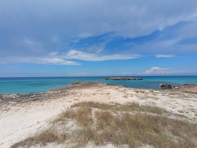 Photo 1 by Gergely D. about hiring a Fiat Panda at Bari Airport (01/06/24)