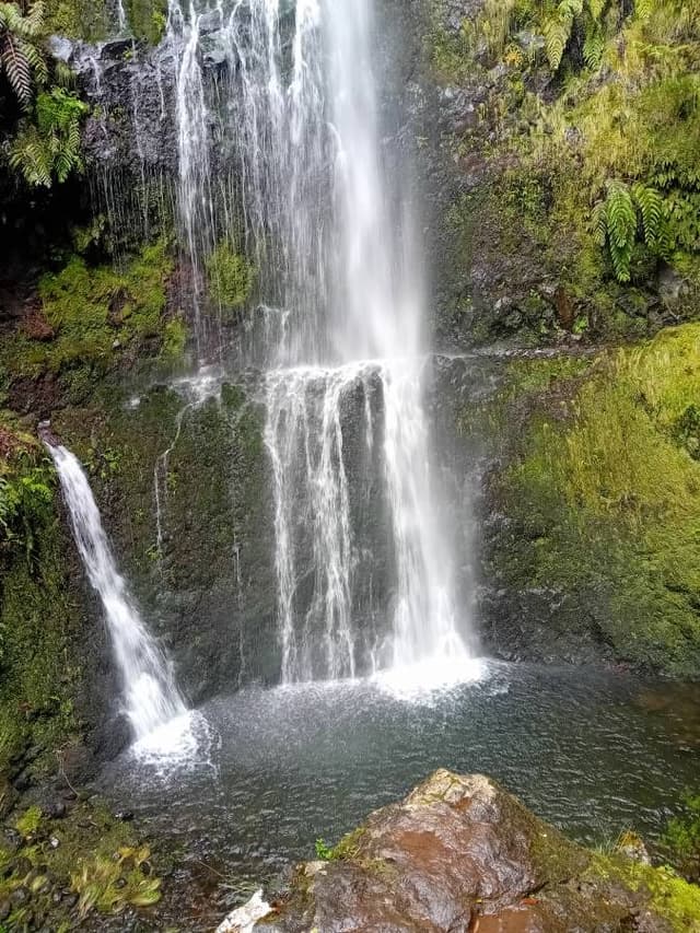 Photo 1 by christophe S. (4/13/25)