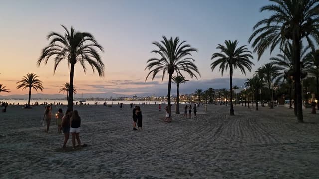 Photo 1 by mostafa O. (7/16/25)