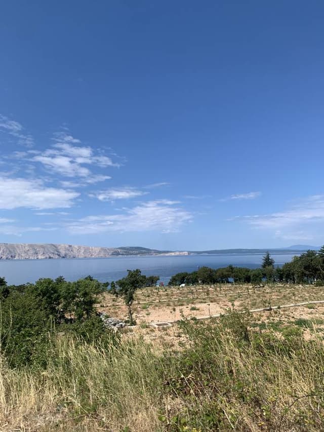 Foto 1 di Cinzia S. (13/07/25)