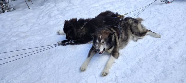 Photo 1 by Lisa P. about renting a Nissan Versa in Calgary (3/19/23)