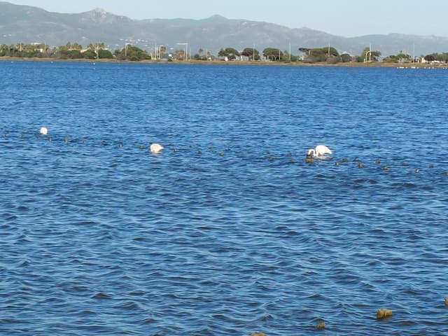 Foto 1 di MARIO NATALE D. (31/05/25)