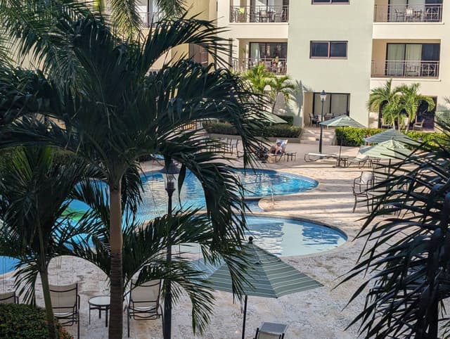 Photo 1 by Brent P. (2/8/26)