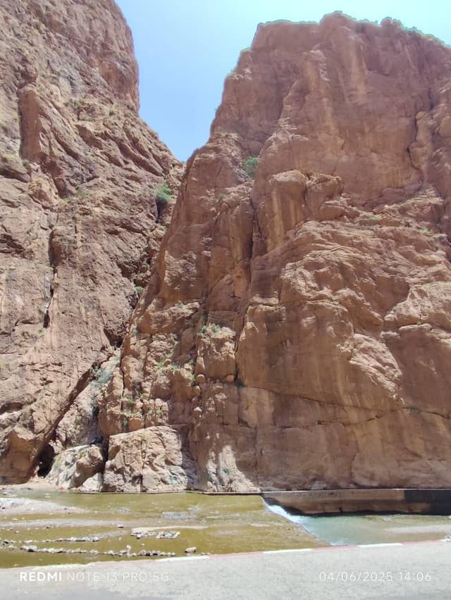 Photo 1 par Youssef D. (11/06/25)